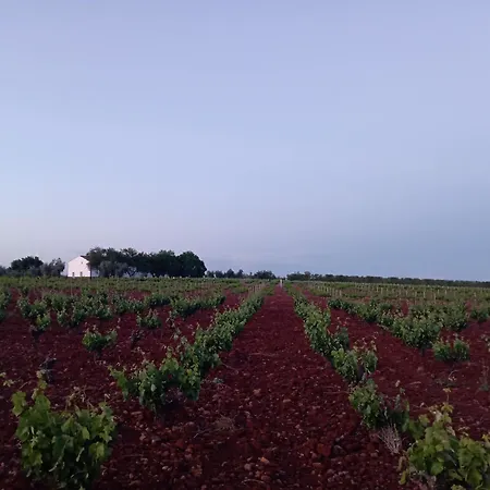 Cortijo El Pajaroto Apartament *