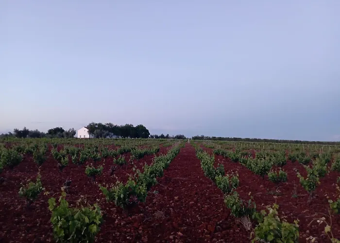 Cortijo El Pajaroto Apartment *
